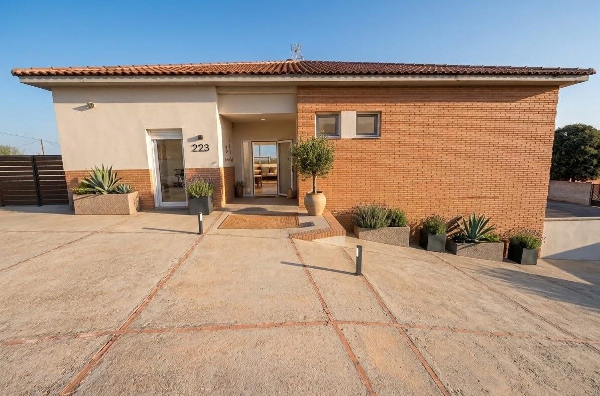 Modern single-story house with brick and beige exterior, number 223, glass entry door, and decorative potted plants by the entrance.